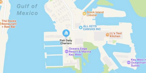 A map showcasing the location of Fish Daily Charters along the waterfront in Key West, FL, indicating a prime spot for starting a fishing adventure with one of the premier fishing charters Key West, FL.